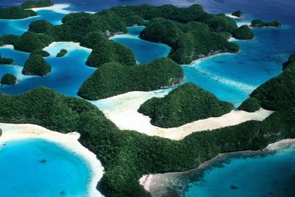 découvrez comment les sanctuaires marins protègent la biodiversité des océans en alliant éthique et préservation pour assurer un avenir durable aux écosystèmes marins.