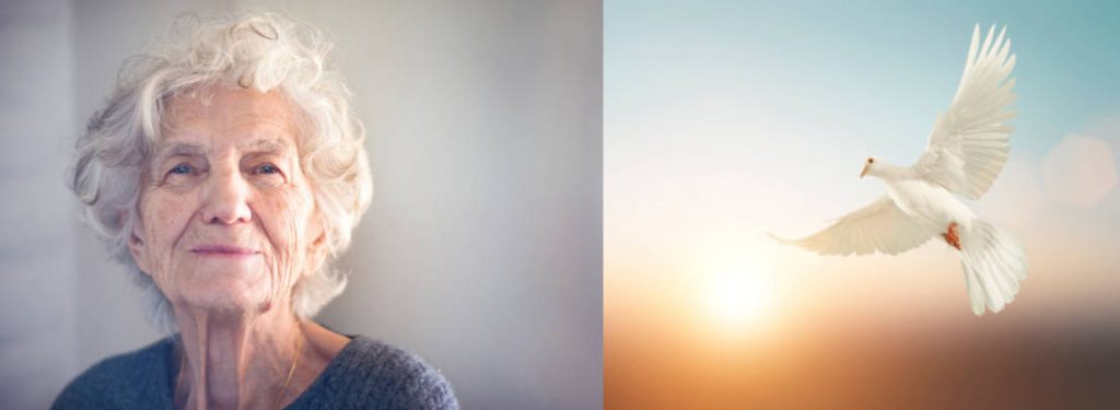 analyse du refus fondé sur l'obstination déraisonnable et les directives anticipées, et limites du contrôle exercé par les juges dans ce contexte.